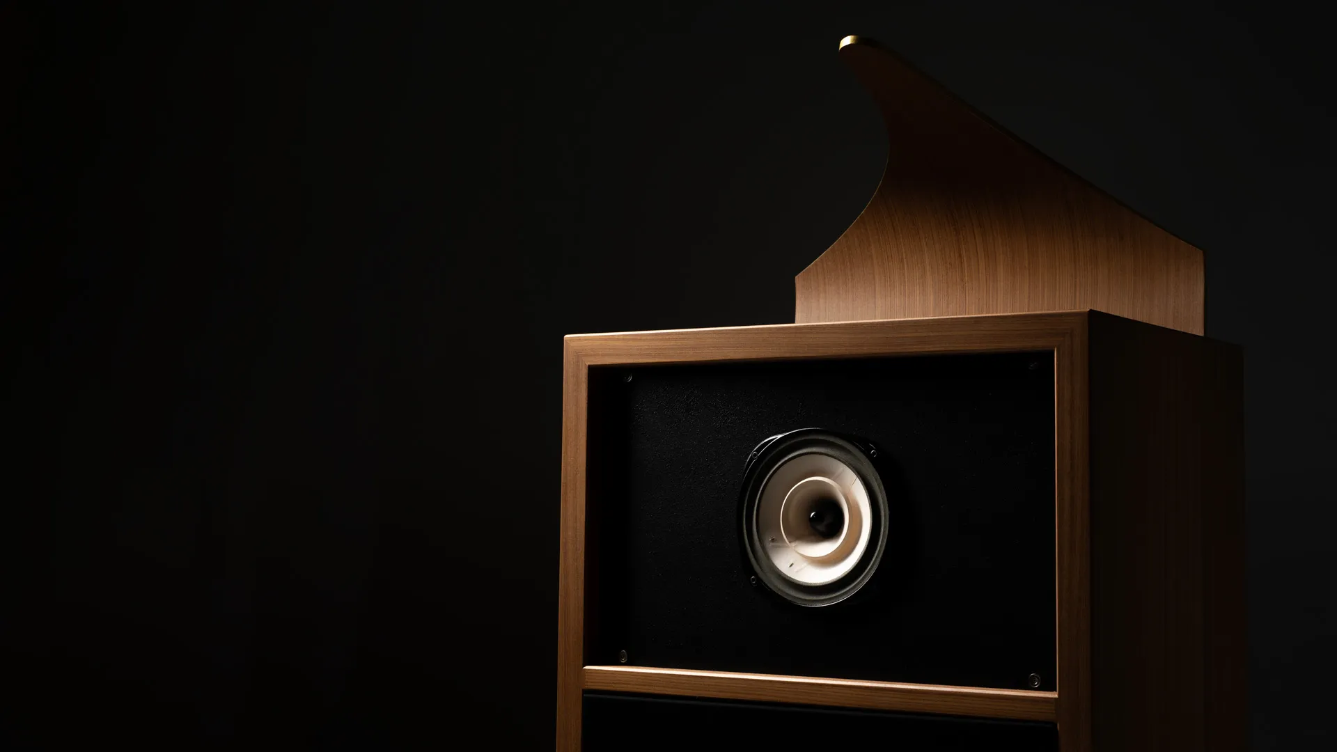 AudioVector with top reflector